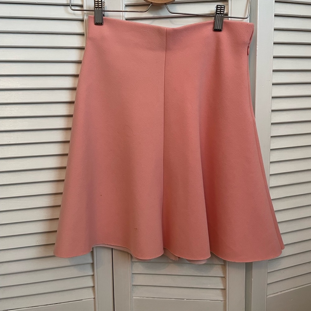 Zara Pink A-line Skirt
